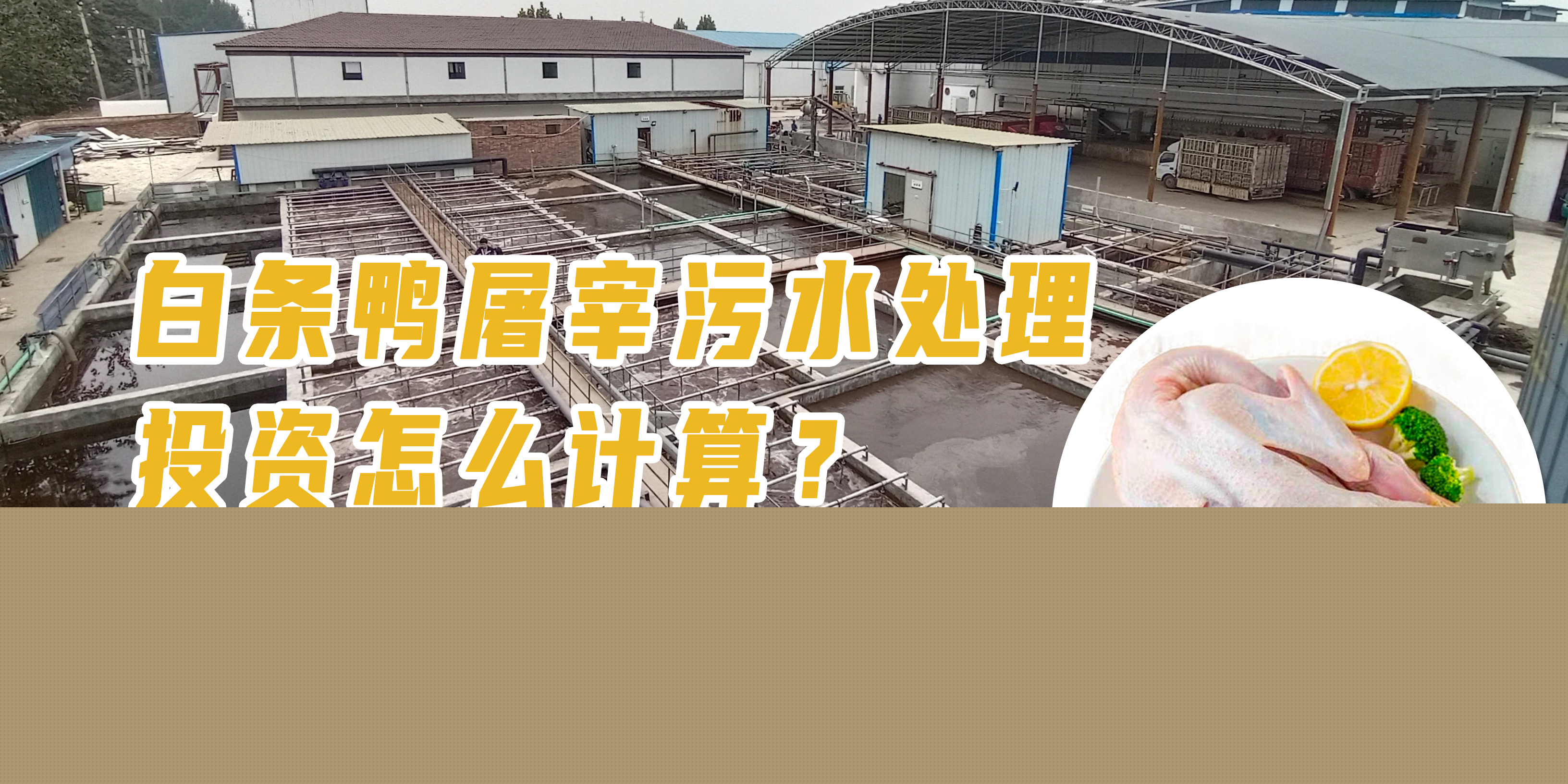 白條鴨屠宰污水處理投資怎么計(jì)算？